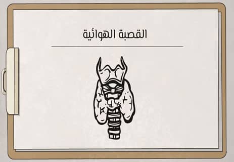 تطور الإنسان: ثمن الذكاء.. ولعنة الجسد؟ 11 معلومات عن الجسم البشري