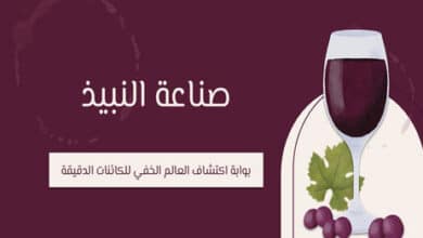 النبيذ