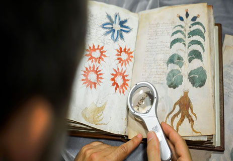 مخطوطة فوينيتش: اللغز المدفون في صفحات كتاب 13 أغرب الوثائق في التاريخ