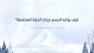 تأثير البرد على جسم الإنسان: كيف يحمي نفسه من الصقيع؟ 33 تأثير البرد على جسم الإنسان