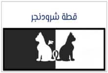 قطة شرودنجر وميكانيكا الكم: الثورة التي قلبت الفيزياء الكلاسيكية 23 قطة شرودنجر