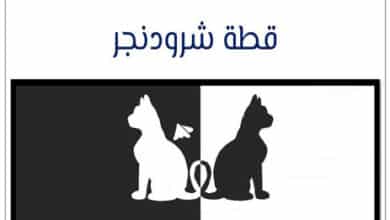 قطة شرودنجر